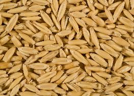 products-oats.jpg